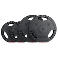 GORILLA SPORTS® Hantelscheiben - Einzeln/Set, 1,25kg, 2,5kg, 5kg, 10kg, 15kg, 17,5kg, 27,5kg, 30kg Gewichte, 30/31mm Bohrung, Tri-Grip, Kunststoff - Gewichtsscheiben, Hantelscheiben-Set