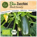 Little Plants BIO Zucchini Samen 10 Zucchinisamen Black Beauty Gemüsesamen Samenfest für Gemüsegarten Gemüse Samen Hochbeet Samen für Küche, Balkon und Garten