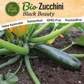 Zucchini Samen (BIO) - 10 Samen Gemüsesamen Zucchinisamen Black Beauty
