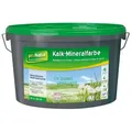 Pronatur Kalk-mineralfarbe 5 L Weiß Wandfarbe