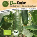 Gurke Samen (BIO) - 10 Samen Gemüsesamen Gurkensamen Marketmore