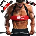 MuscleForge Bizeps-Trainer ARM Blaster, für eine optimale Isolierung der Bizeps- und Armmuskeln, Bizeps Isolator für Bodybuilding & Kraftsport