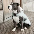 Kentucky Dogwear Hundemantel Waterproof Hundejacke Dusty Blue XXL