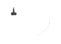 BOSCH Radsensor, Reifendruck-Kontrollsystem F 026 C00 467