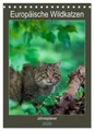 Europäische Wildkatzen - Jahresplaner (Tischkalender 2026 DIN A5 hoch),...