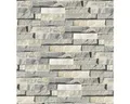 Wandverblender Naturstein Beige-Mix 40/10