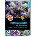 Riffaquaristik für Einsteiger