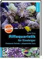Riffaquaristik für Einsteiger