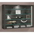 VCM Glasvitrine hängend | Vitrine Glas mit ESG-Sicherheitsglas | Maße: H. 60 x B. 83 x T. 18 cm | Hängevitrine Glas | Modern und platzsparend | ... - Grau