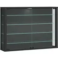 Wandvitrine Glasvitrine Vitrosa L