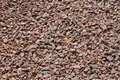 Best for Garden Trittsteine Granit Ziersplitt Rot 16-22 mm