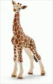 Giraffenbaby