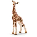 schleich® 14751 Giraffenbaby