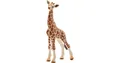 Wild Life Giraffenbaby