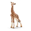 Schleich - 14751 - Giraffenbaby