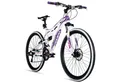 bergsteiger Mountainbike Kodiak 26, 29 Zoll Mountainbike, geeignet ab 150 cm, Damen, Herren, 21 Gang Shimano Tourney RD-TY300 Schaltwerk, Kettenschaltung, V-Bremse & Scheibenbremse