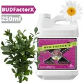 Advanced Nutrients Bud Factor X 250ml | Knospenpotenz Stängelstärker für Growbox
