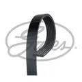 Keilrippenriemen Micro-V® GATES 6PK1353 für Ford S-Max VW