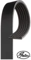 Gates 6PK1353 Keilrippenriemen Keilriemen