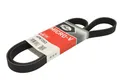 Keilrippenriemen GATES 6PK1353