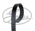 Original GATES Keilrippenriemen 6PK1353 für Chrysler Citroën Dodge FORD USA
