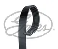 Keilrippenriemen Gates 6PK1353 für CHRYSLER CITROËN DODGE  passend für FIAT