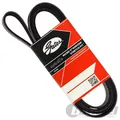 GATES KEILRIPPENRIEMEN 6PK1353 passend für CHRYSLER CIRRUS STRATUS CITROËN