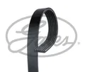 TRAP-RIPPENRIEMEN GATES - 6PK1353