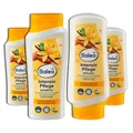 Balea 5er Set: 2 x Shampoo + 2 x Spülung für Geschädigtes/Strapaziertes Haar, Trockenes Haar – 1 x Topfpflanze künstlich