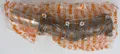 Stihl Ersatzteil Winkelgetriebe 4182-640-0200