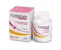 Candioli CYSTOCURE Forte 30 Tabletten (NDR)