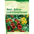 Beet- Balkon- und Kübelpflanzen von Helga Panten / AV Buch / Taschenbuch