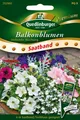 Balkonblumen "Stehende Mischung"   Saatband    Quedlinburger