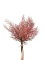 artplants.de Deko Asparagus sprengeri Bund RUBIOLTA, violett-rosa, 35cm - Kunststrauß