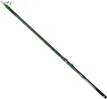 Lineaeffe Artistic Superior Bolognese Rute 7.00 m / 5.25 g 7.00 m