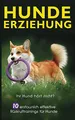 Hundeerziehung: Ihr Hund hört nicht? 10 erstaunlich effektive Rückruftrainings für Hunde