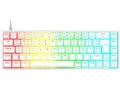 ISY IGK 5500-WT Gaming Tastatur Mechanisch kabelgebunden Weiss