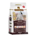 Wolfsblut VetLine Gastrointestinal 2 kg | Trockenfutter für Hunde | Verdauung
