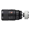 Sony SEL 100mm f/2,8 Makro GM OSS + SEL-20TC 2.0x Telekonverter