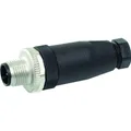 Murr Elektronik 7000-12741-0000000 Sensor-/Aktor-Steckverbinder, unkonfektioniert 1 St. (7000-12741-0000000)