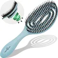 Bio Haarbürste ohne Ziepen mit Wildschweinborsten - Entwirrbürste mit einzigartiger Spirale, nachhaltiges Material - perfekt für nasse&trockene Haare, mehr Glanz, Volumen & gesunde Haarpflege, Blau