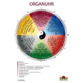 Organuhr Schaubild DIN A2