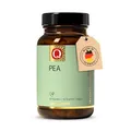 Quintessence PEA Kapseln 90 Stk. - Hochdosiert mit 1200 mg Palmitoylethanolamid pro Tagesdosis, Vegan, 100% reines PEA vollständige ohne Zusatzstoffe, Produziert in Deutschland