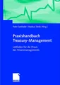 Praxishandbuch Treasury-Management Markus Steitz