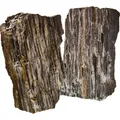 Glimmer Wood Rock für Aquarien Grau
