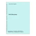 Felt Mountain