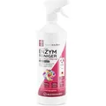 Hauszauber Enzymreiniger Geruchsentferner, Blütenfrische, gebrauchsfertig, gegen Urin, Schweiß und Kot, Spray 1 Liter