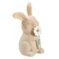 Kleines holländisches Nachtlampen-Kaninchen