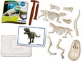 T-Rex Ausgrabungs-Set Clementoni Galileo Discovery Dinosaurier Fossilien ab 7
