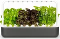 Klicken Sie und wachsen Sie Smart Garden 9 Grey